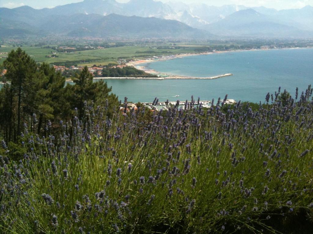 Villa I Poggioli Bocca di Magra Kültér fotó