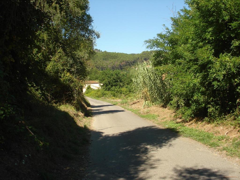 Villa I Poggioli Bocca di Magra Kültér fotó